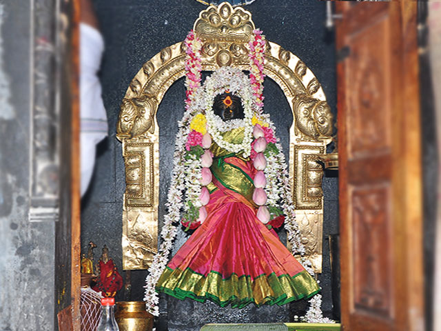 ஸ்ரீ உண்ணாமுலைநாயகி